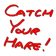 Catch Your Hare!
